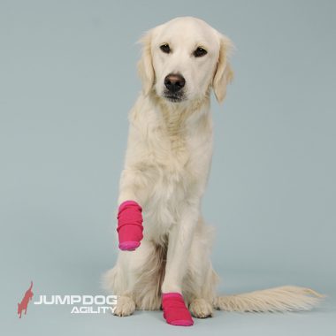 Jump Dog Agility - Paw Covers