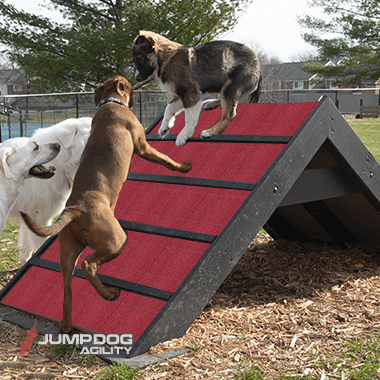 Jump Dog Agility - Hill