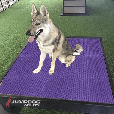 Jump Dog Agility - Training Platform